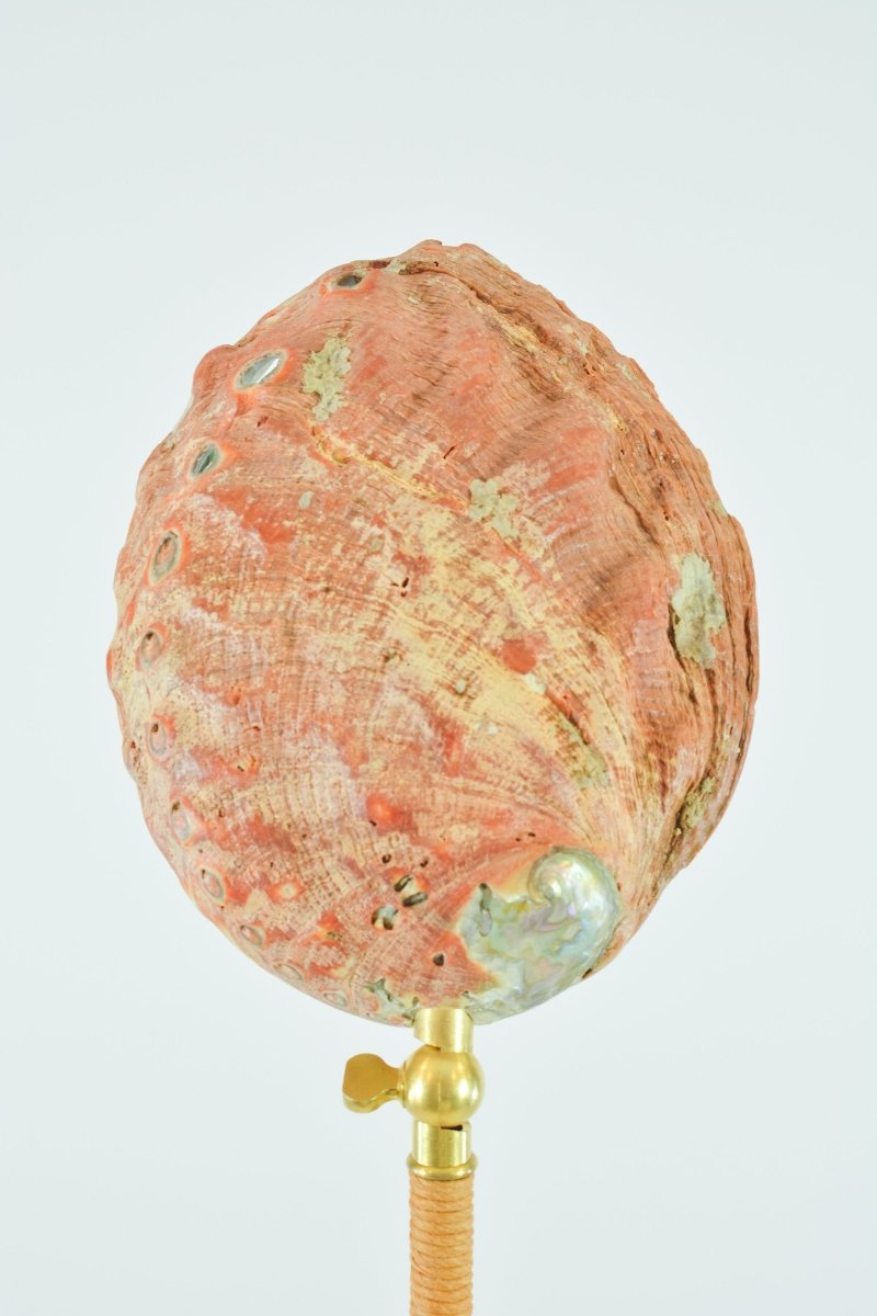 Abalone Library Lamp with Natural Seashell Shade — Model No. 034 - Tennant New York