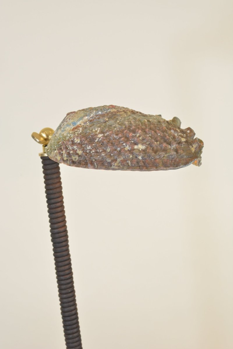 Abalone Task Lamp in Coiled Brown Leather with Natural Seashell Shade — Model No. 026 - Tennant New York