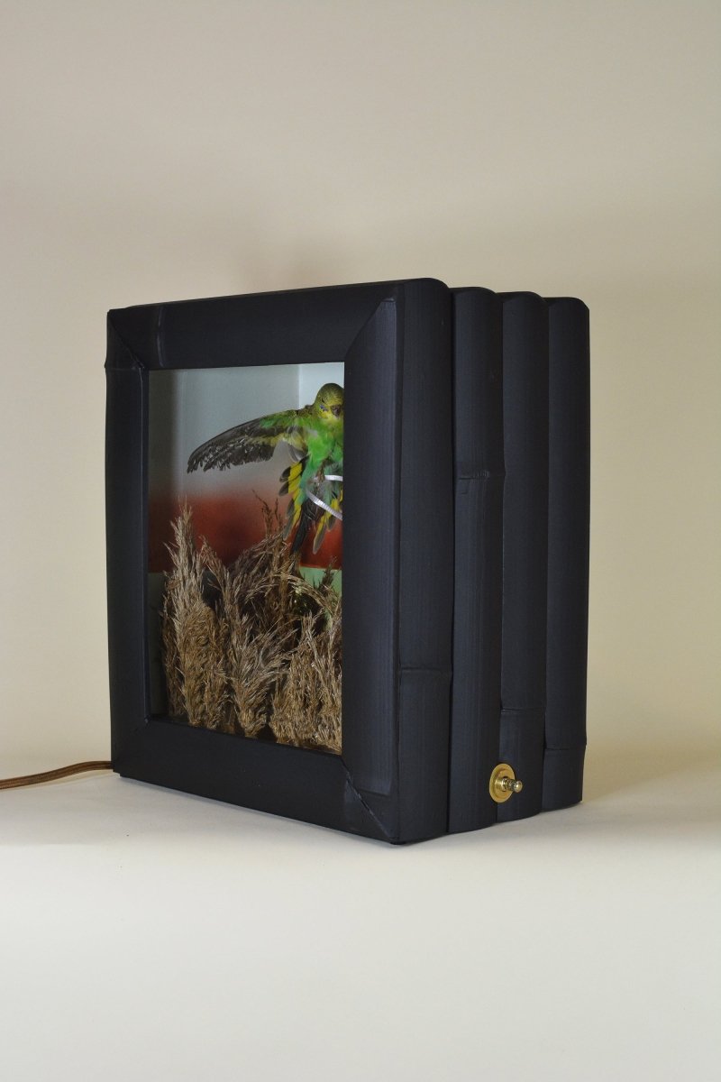 Field Camera 1 (Brookhaven Budgie), 2024 - Tennant New York
