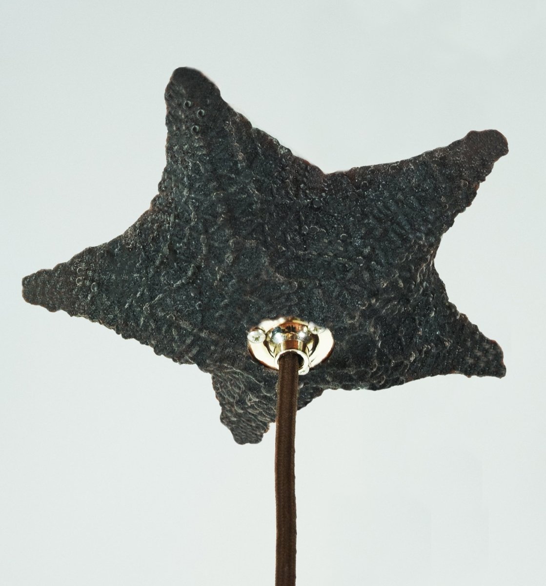 Lavender Lion’s Paw Pendant — Model No. 044 - Tennant New York