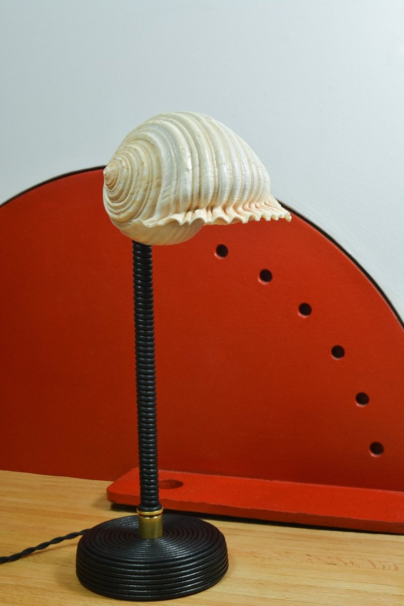 L’Escargot Table Lamp in Coiled Black Leather with Natural Sea Snail Shade—Model No. 025 - Tennant New York