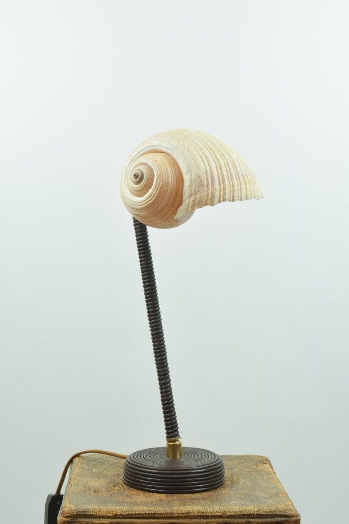 L’Escargot Table Lamp in Coiled Brown Leather with Natural Sea Snail Shade—Model No. 025B - Tennant New York