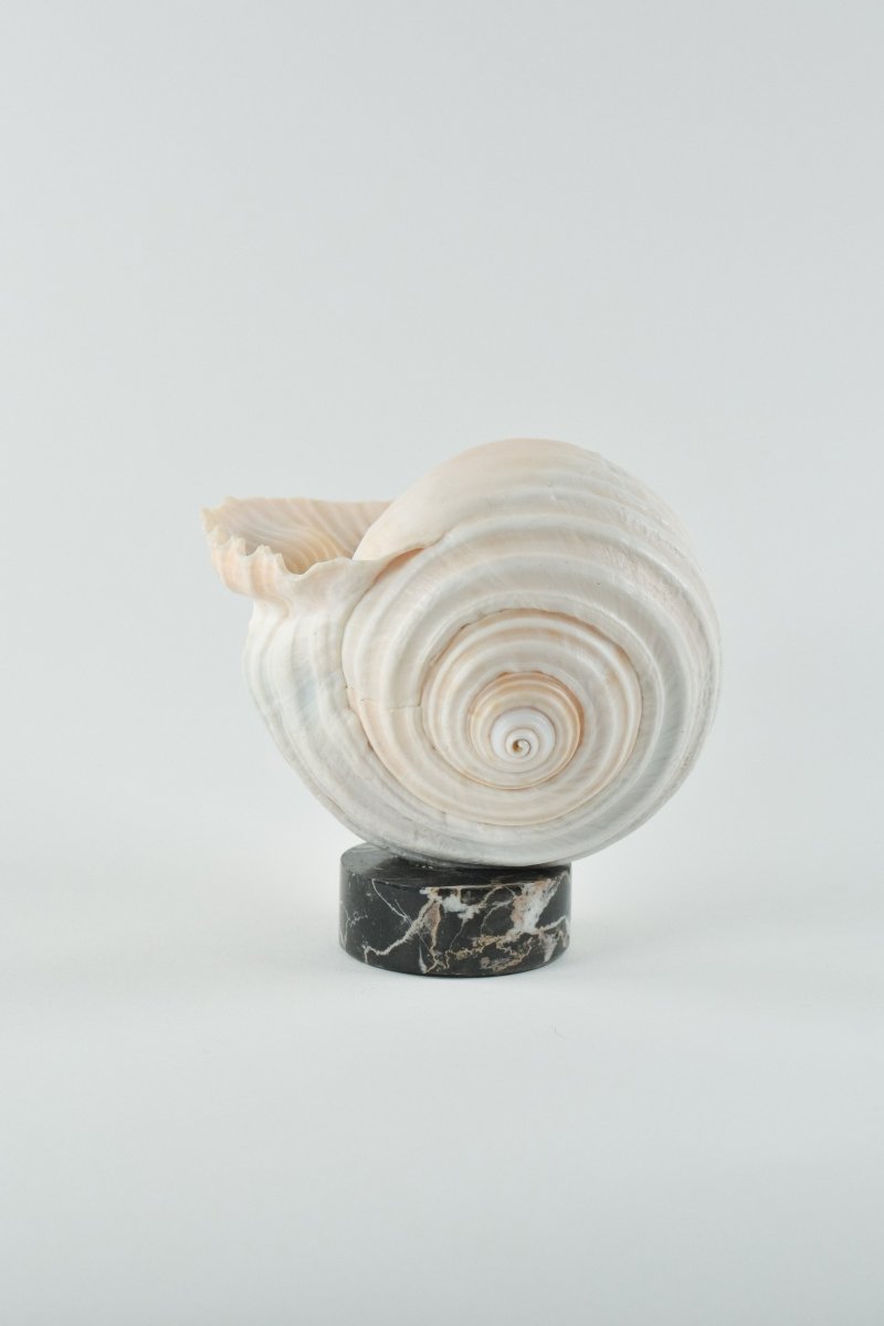 Limited - Edition L'Escargot Incense Vessel Gift Set in Vintage Italian Marble - Tennant New York