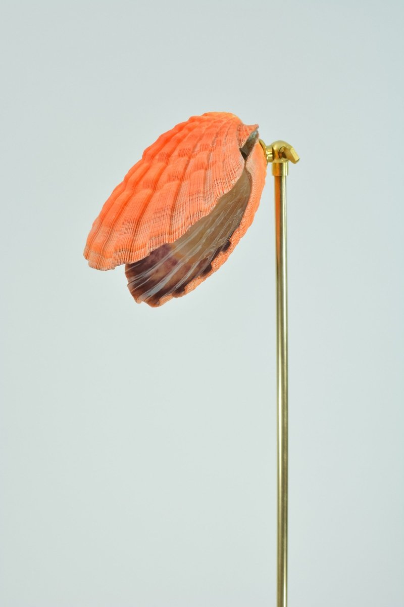 Lion's Paw Floor Lamp with Orange Scallop Shell Shade in Brass — Model No. 045 - Tennant New York