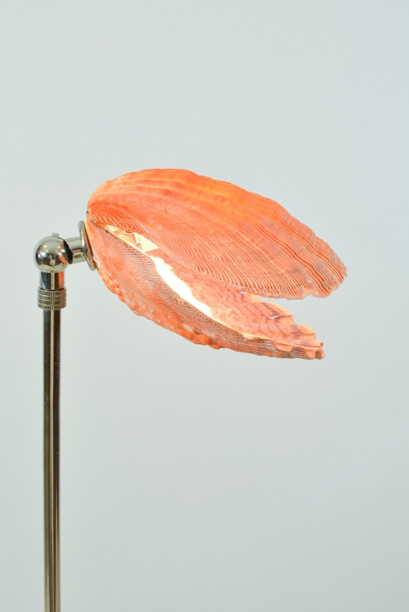 Lion's Paw Table Lamp with Natural Scallop Shell Shade in Chrome — Model No. 019B - Tennant New York