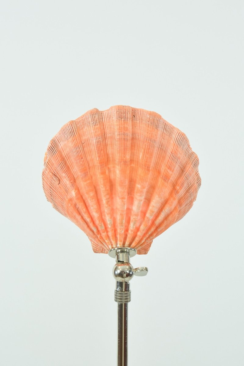 Lion's Paw Table Lamp with Natural Scallop Shell Shade in Chrome — Model No. 019B - Tennant New York