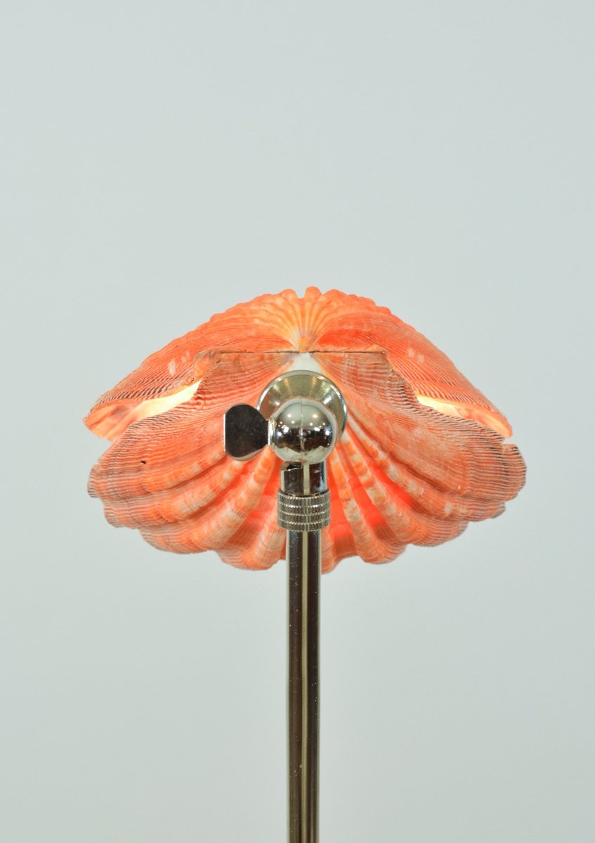 Lion's Paw Table Lamp with Natural Scallop Shell Shade in Chrome — Model No. 019B - Tennant New York