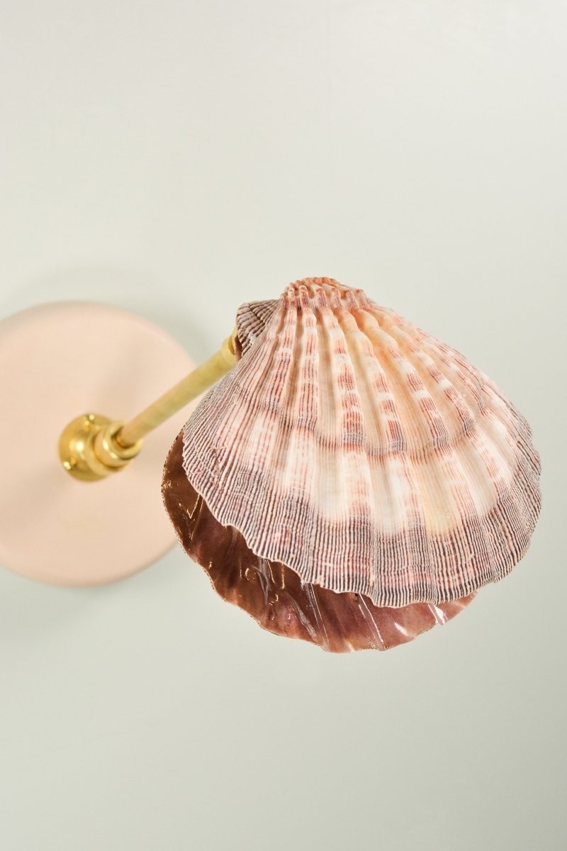 Off - White Lavender Lion's Paw Sconce with Scallop Shell Shade in Brass — Model No. 024A - Tennant New York