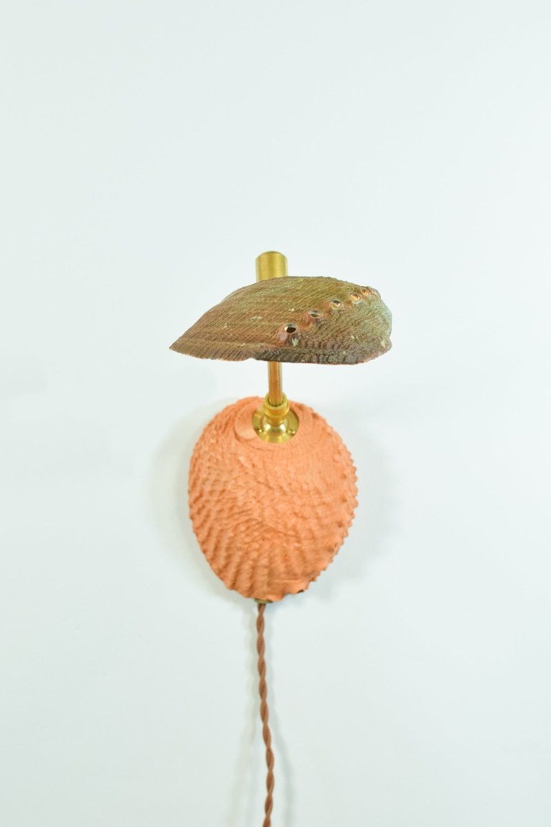 Ospedaletti II Reading Sconce in Fluted Brass with Natural Abalone Shell Shade — Model No. 028B - Tennant New York