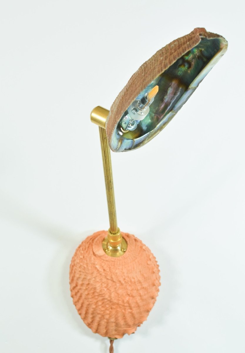 Ospedaletti II Reading Sconce in Fluted Brass with Natural Abalone Shell Shade — Model No. 028B - Tennant New York