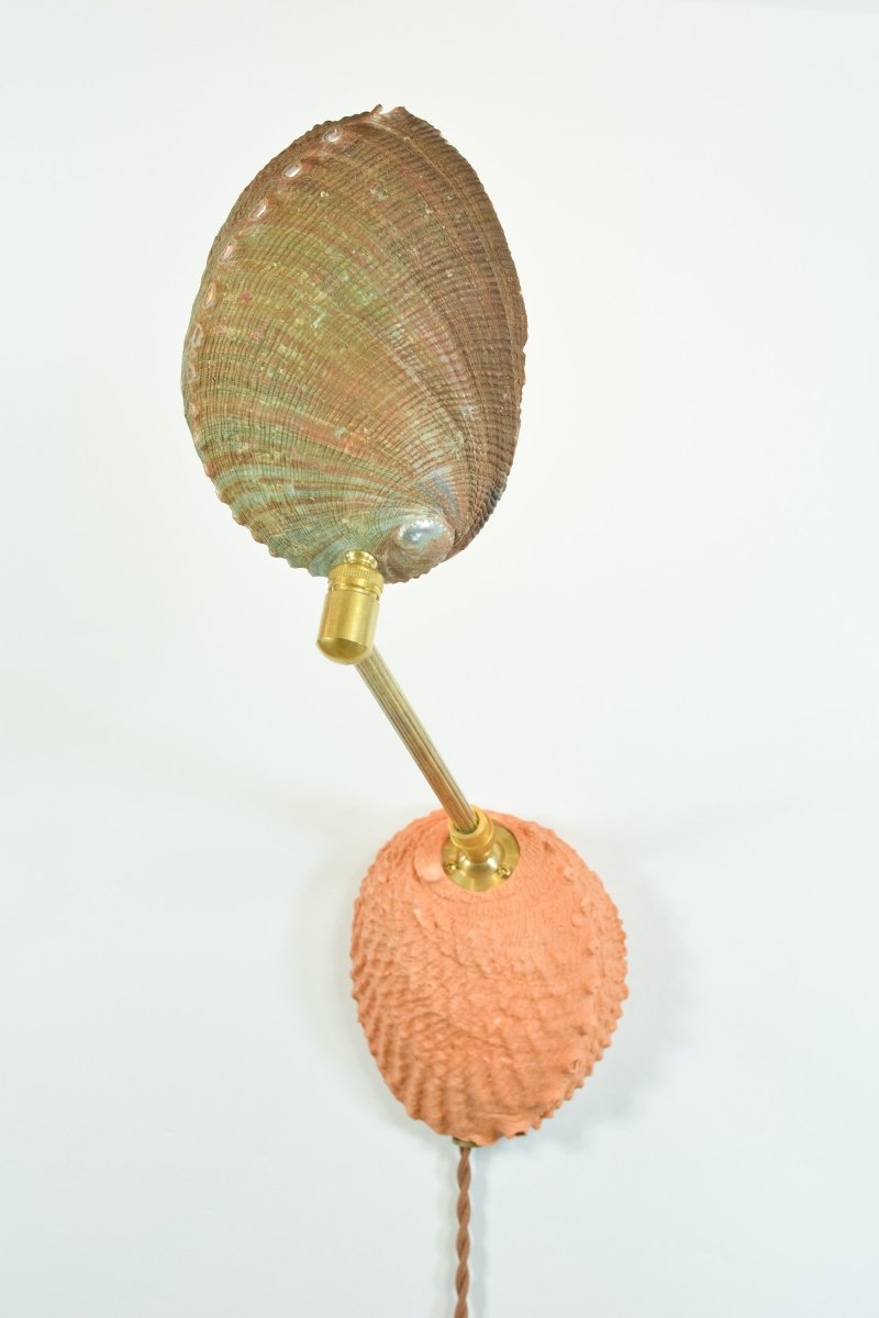 Ospedaletti II Reading Sconce in Fluted Brass with Natural Abalone Shell Shade — Model No. 028B - Tennant New York