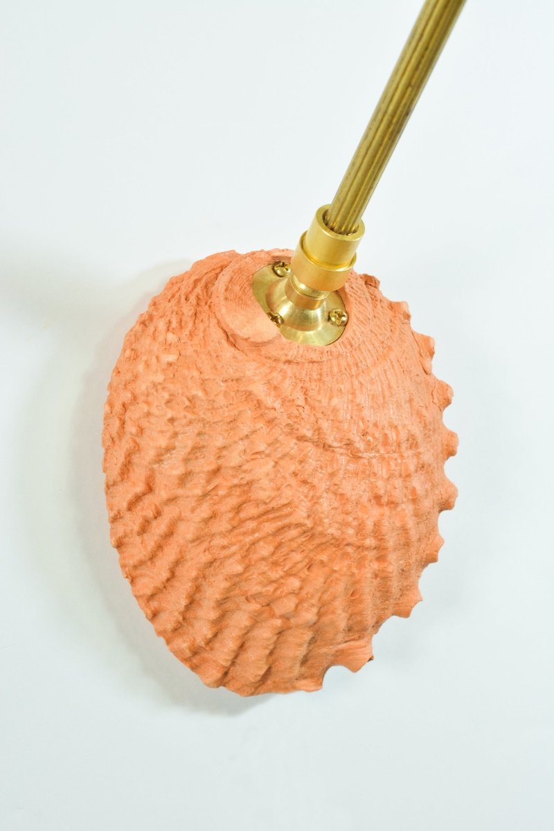 Ospedaletti II Reading Sconce in Fluted Brass with Natural Abalone Shell Shade — Model No. 028B - Tennant New York