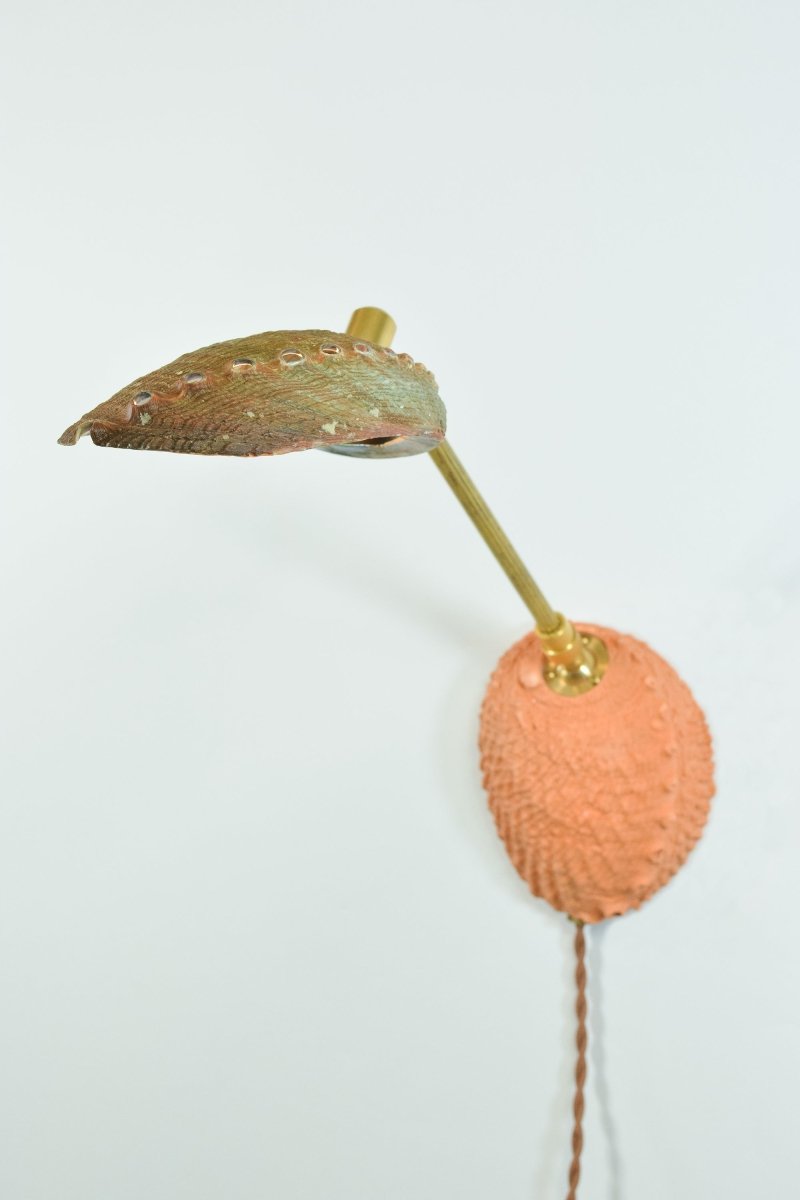 Ospedaletti II Reading Sconce in Fluted Brass with Natural Abalone Shell Shade — Model No. 028B - Tennant New York