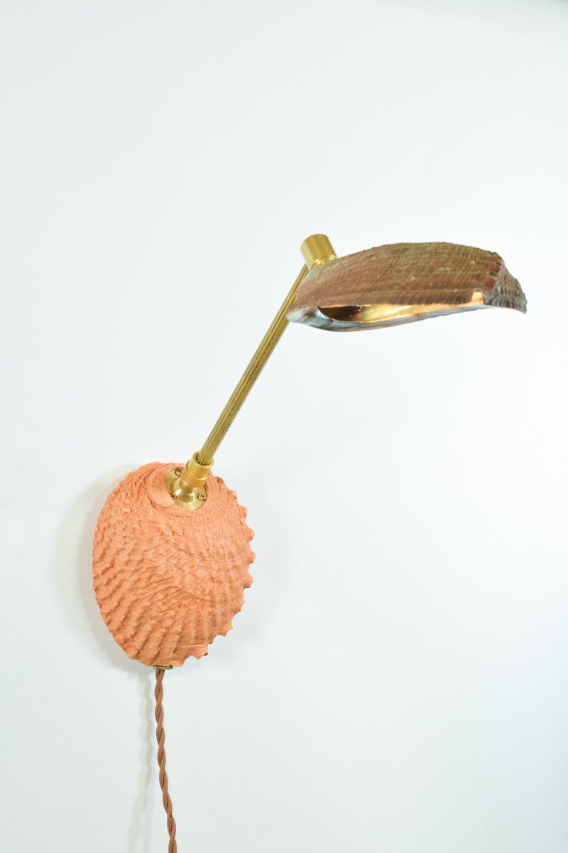 Ospedaletti II Reading Sconce in Fluted Brass with Natural Abalone Shell Shade — Model No. 028B - Tennant New York