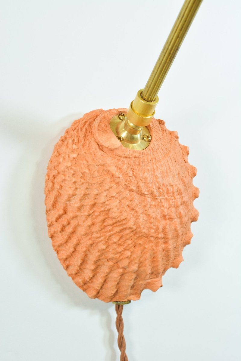 Ospedaletti II Reading Sconce in Fluted Brass with Natural Abalone Shell Shade — Model No. 028B - Tennant New York