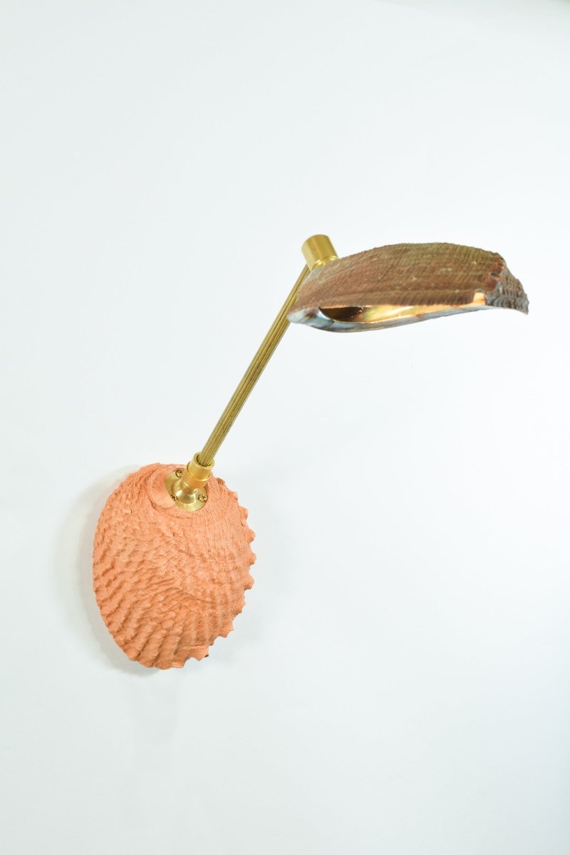 Ospedaletti II Reading Sconce in Fluted Brass with Natural Abalone Shell Shade — Model No. 028B - Tennant New York