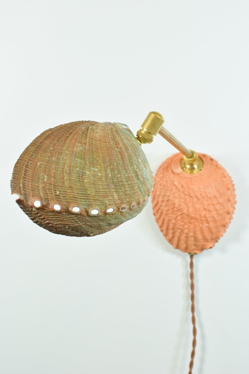 Ospedaletti II Reading Sconce in Fluted Brass with Natural Abalone Shell Shade — Model No. 028B - Tennant New York
