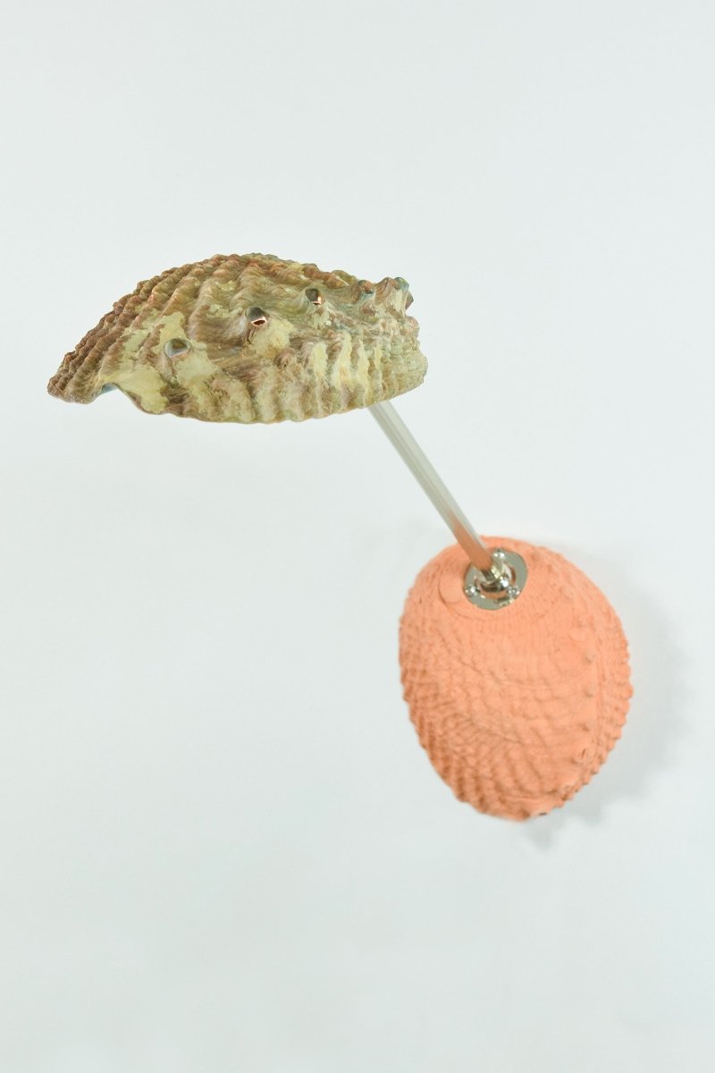Ospedaletti Reading Sconce in Fluted Chrome and Terra Cotta with Natural Abalone Shade — Model No. 028A - Tennant New York