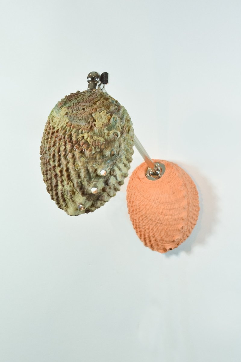 Ospedaletti Reading Sconce in Fluted Chrome and Terra Cotta with Natural Abalone Shade — Model No. 028A - Tennant New York