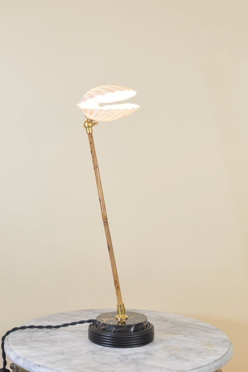 Sanremo Reading Lamp in Coiled Black Leather and Marble with Natural Scallop Shell Shade — Model No. 027 - Tennant New York