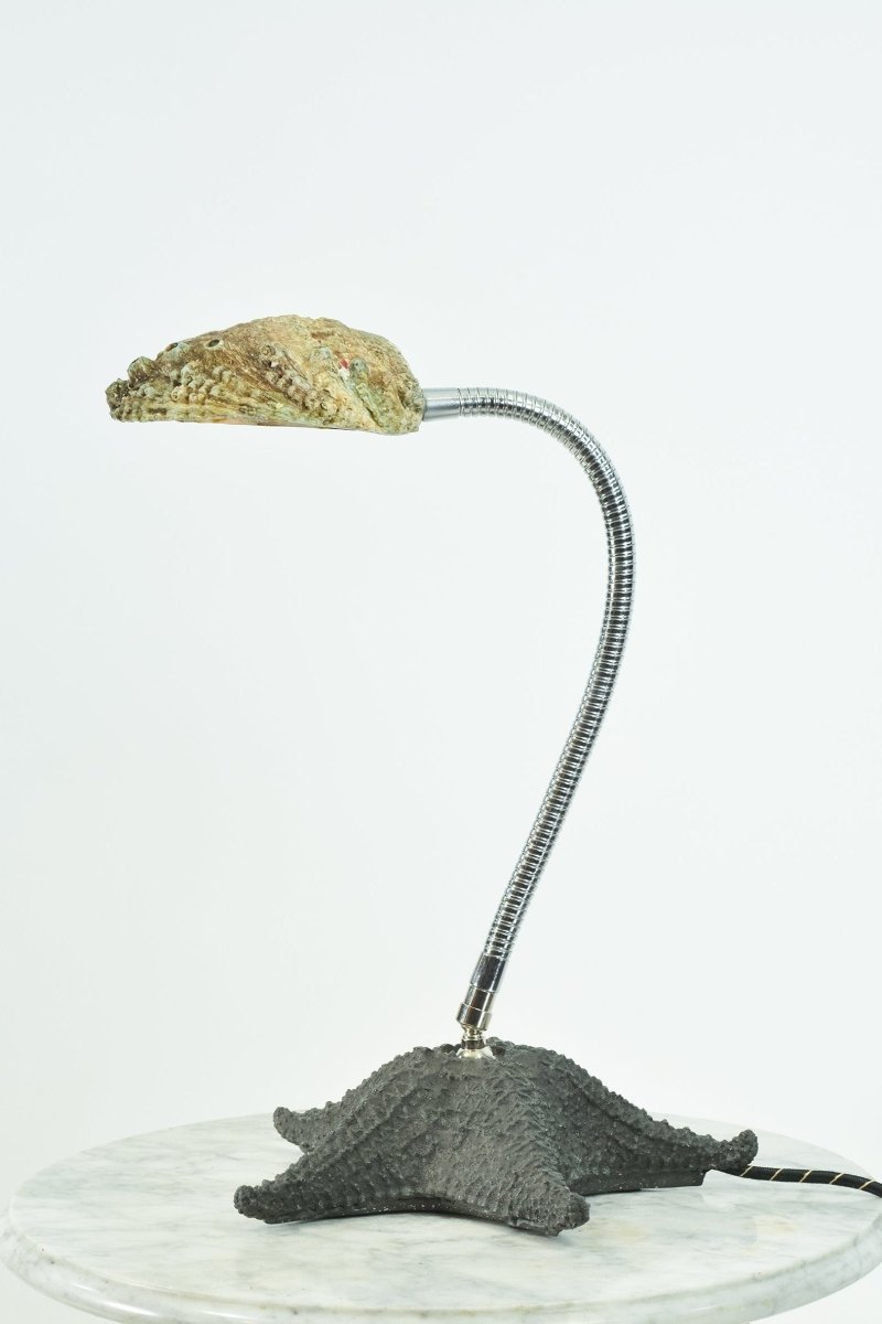 Strella Gooseneck Abalone Task Lamp — Model No. 049 - Tennant New York