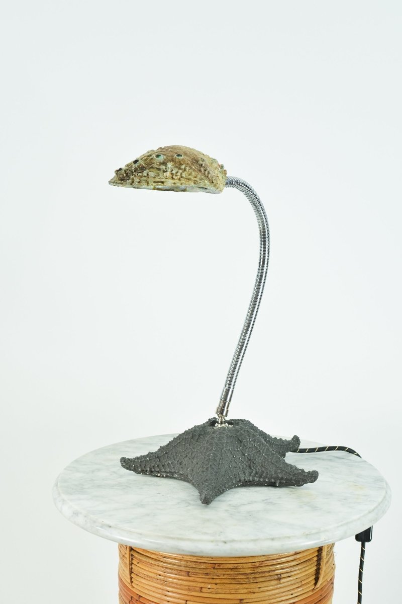 Strella Gooseneck Abalone Task Lamp — Model No. 049 - Tennant New York