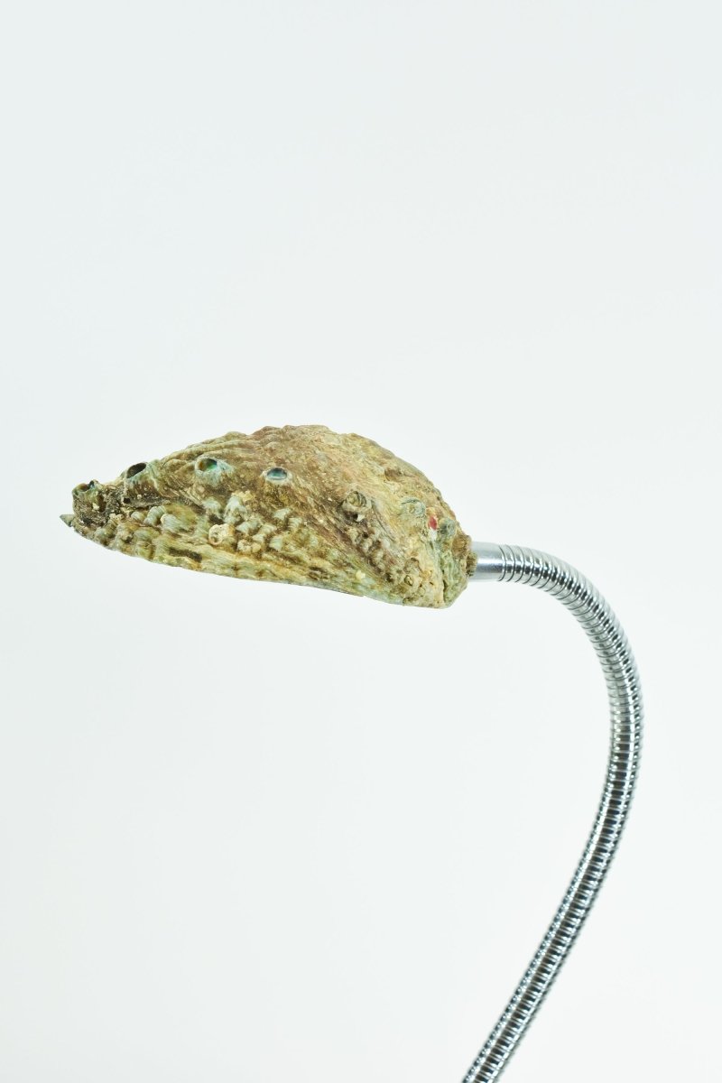Strella Gooseneck Abalone Task Lamp — Model No. 049 - Tennant New York