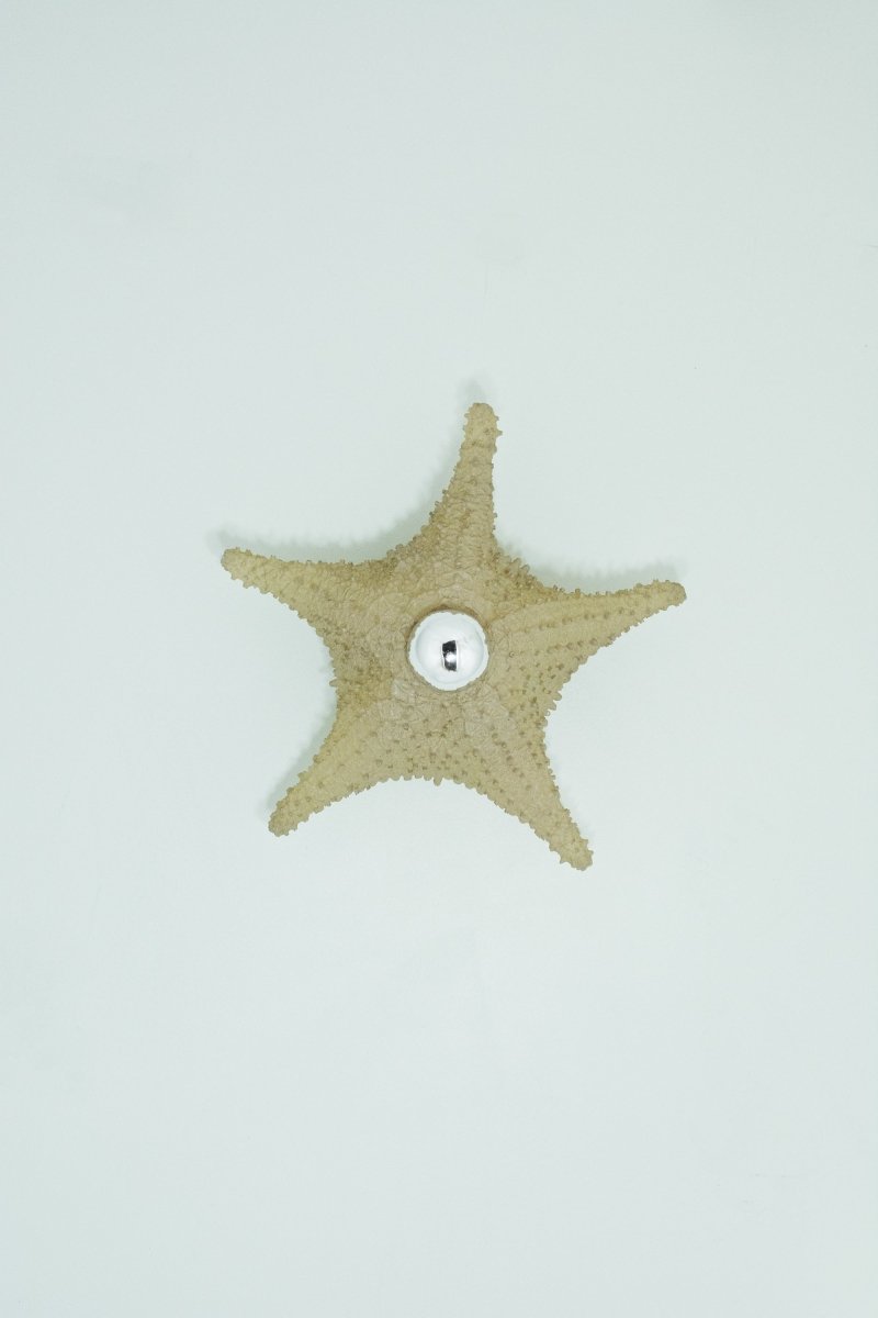 'Strella' Starfish Sconce in Desert - Tan Rubberized Resin — Model No. 047 - Tennant New York