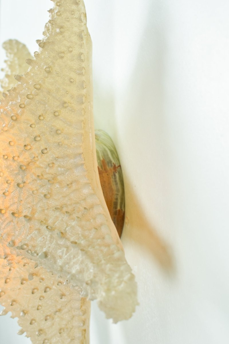'Strella' Starfish Sconce in Desert - Tan Rubberized Resin — Model No. 047 - Tennant New York