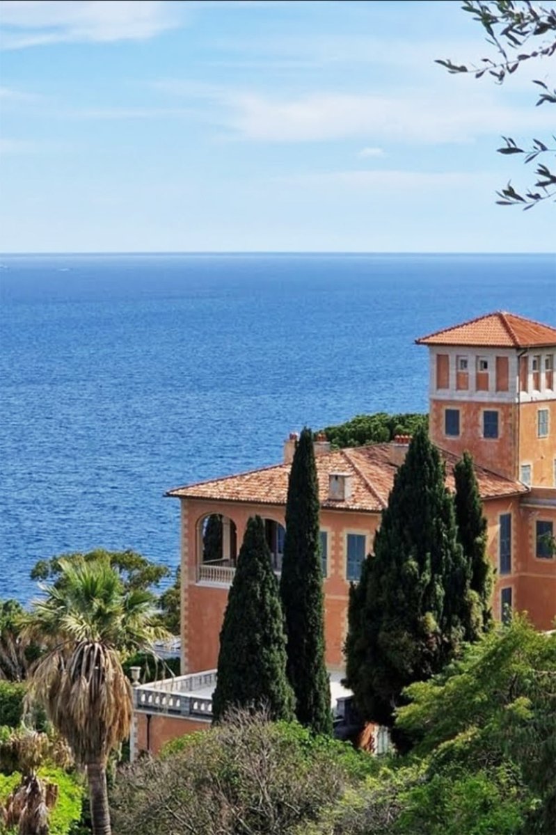 Ventimiglia Bamboo Task Lamp with Scallop Shell Shade and Coiled Seagrass Base — Model No. 032 - Tennant New York