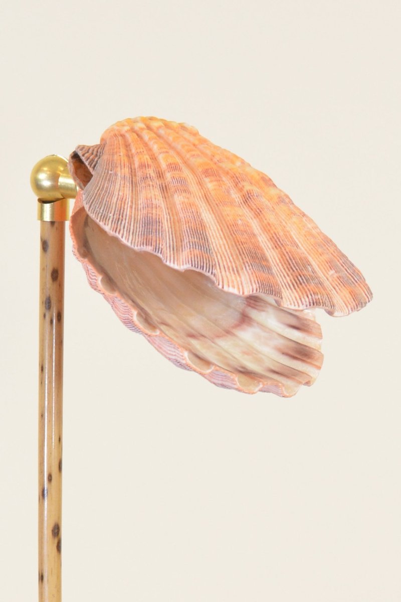 Ventimiglia Bamboo Task Lamp with Scallop Shell Shade and Coiled Seagrass Base — Model No. 032 - Tennant New York