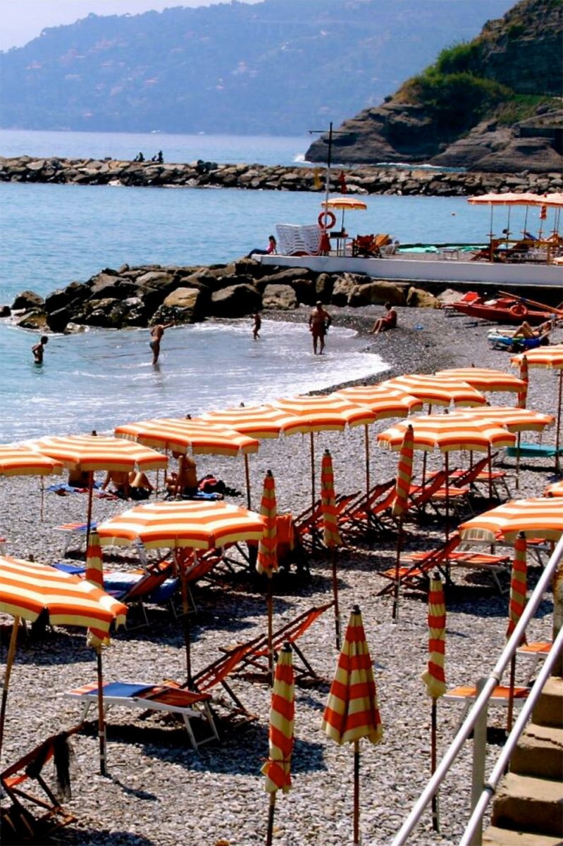 Ventimiglia Bamboo Task Lamp with Scallop Shell Shade and Coiled Seagrass Base — Model No. 032 - Tennant New York