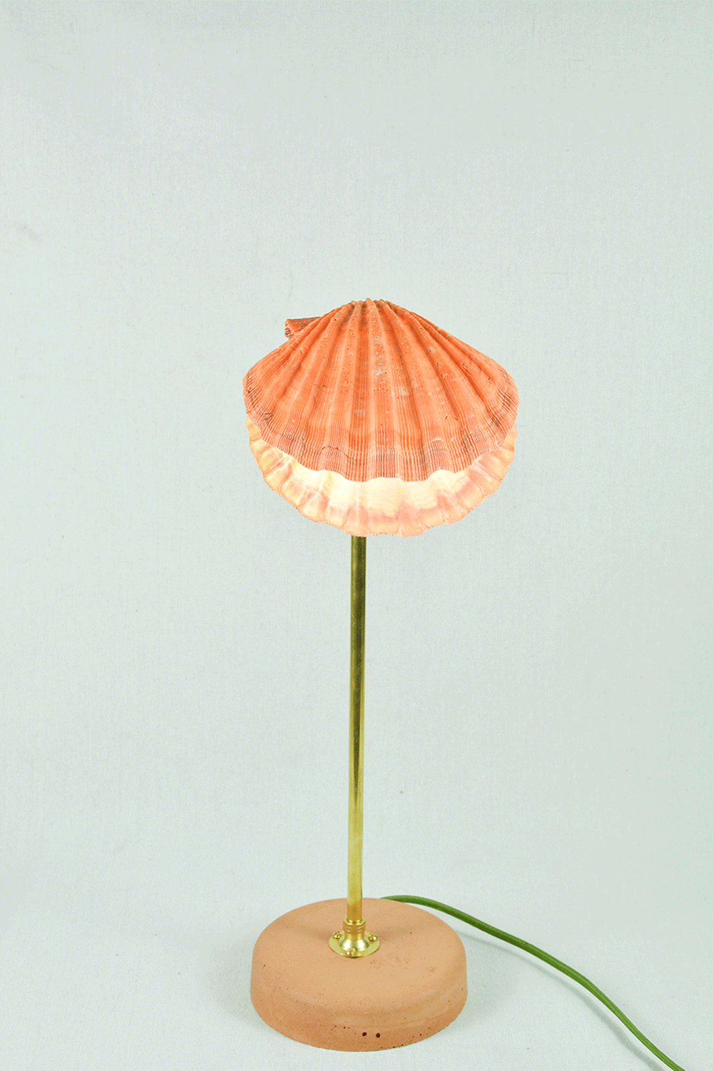 'Lion's Paw Lamp' with Natural Scallop Shell Shade — Model No. 019 - Tennant New York