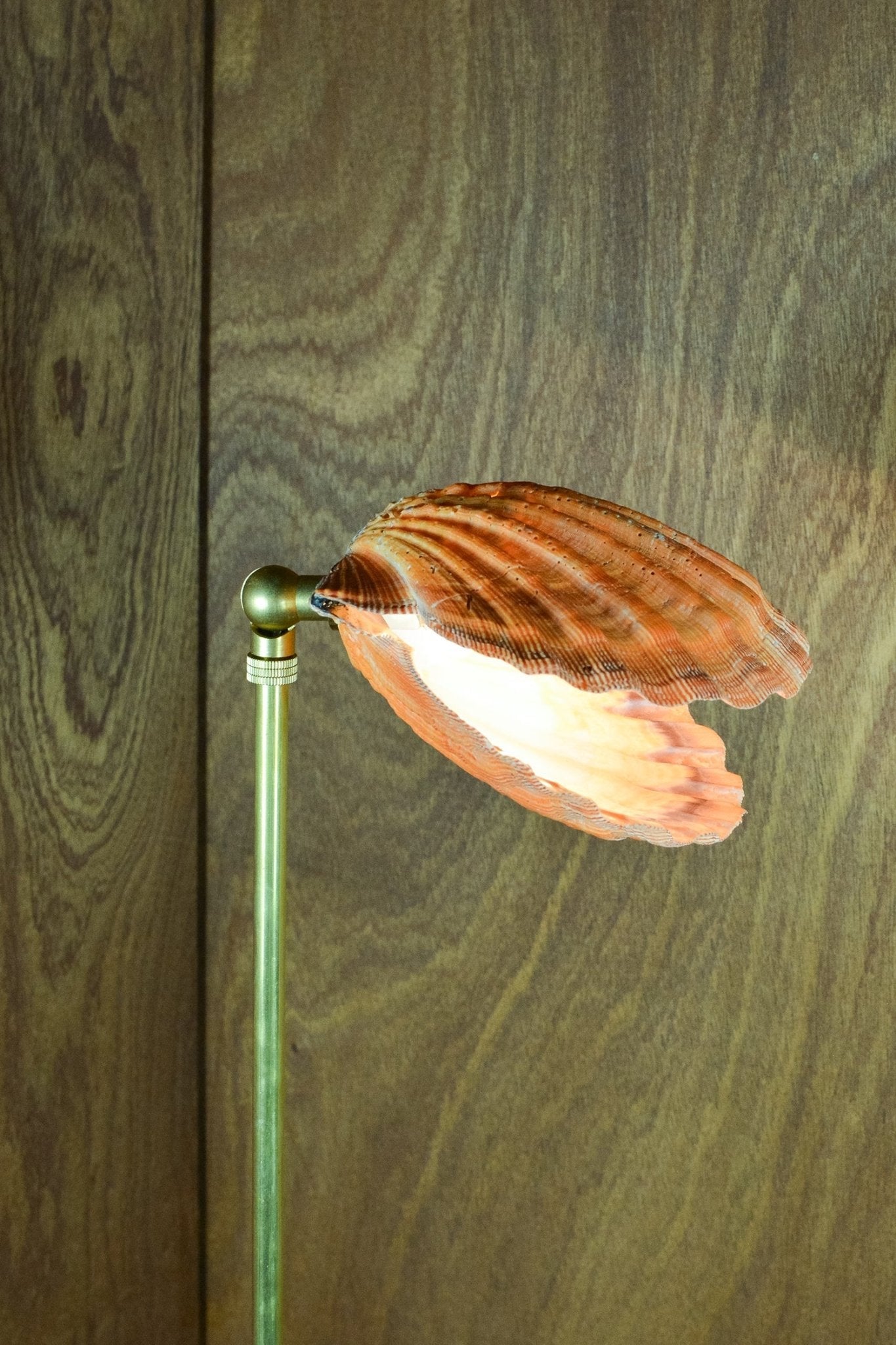 'Lion's Paw Lamp' with Natural Scallop Shell Shade — Model No. 019 - Tennant New York
