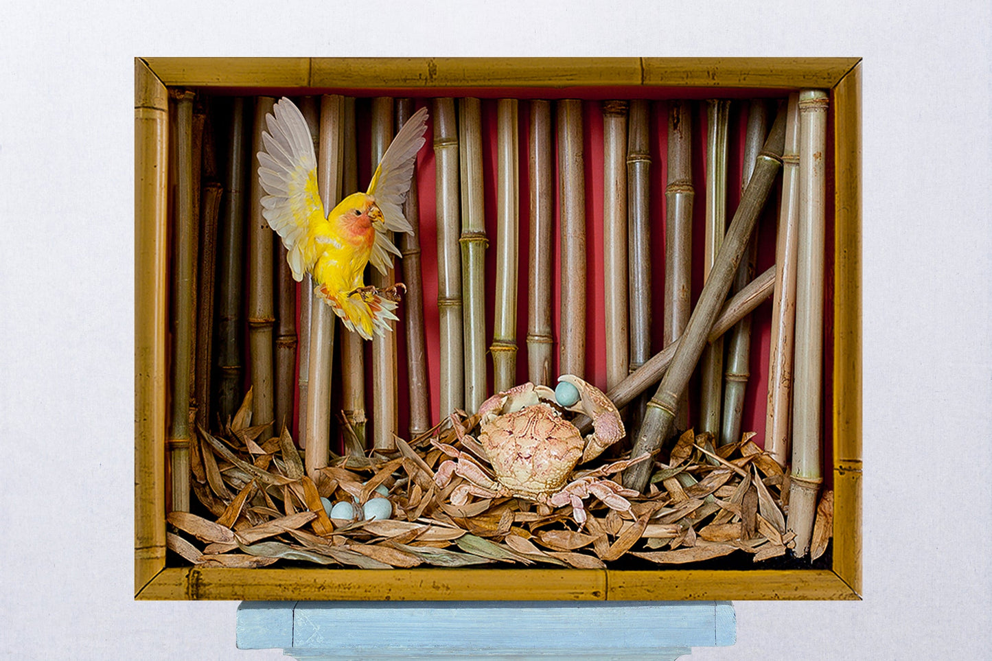 Love Bird/Egg Thief, 2014 - Tennant New York