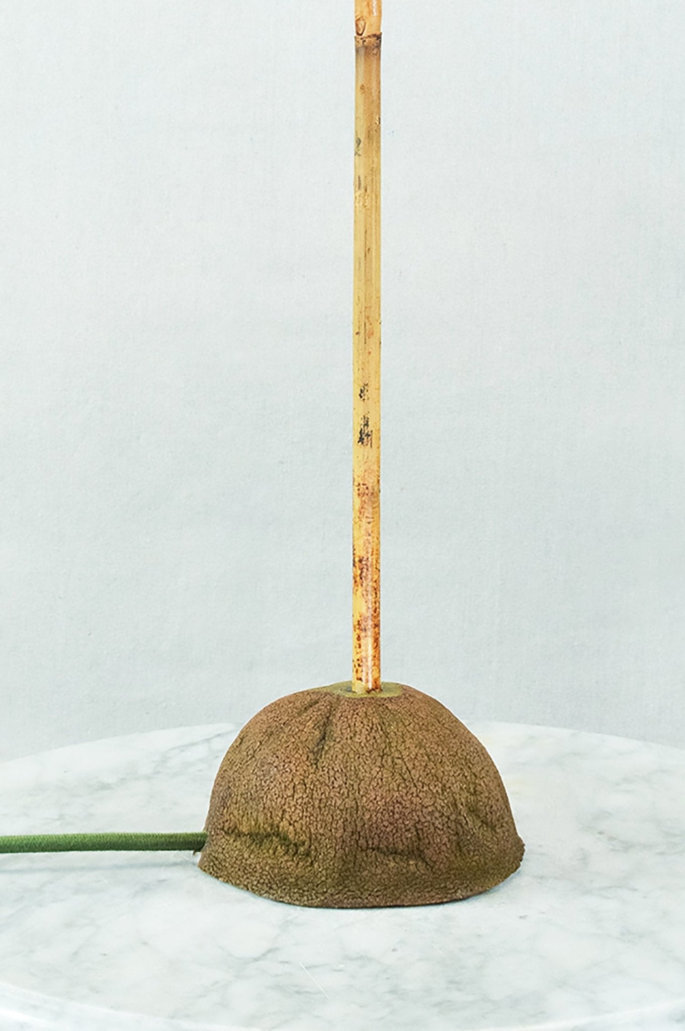 'Prairie Modern' Bamboo Table Lamp with Coconut Base and Vintage Japanese Parasol Shade — Model No. 017 - Tennant New York