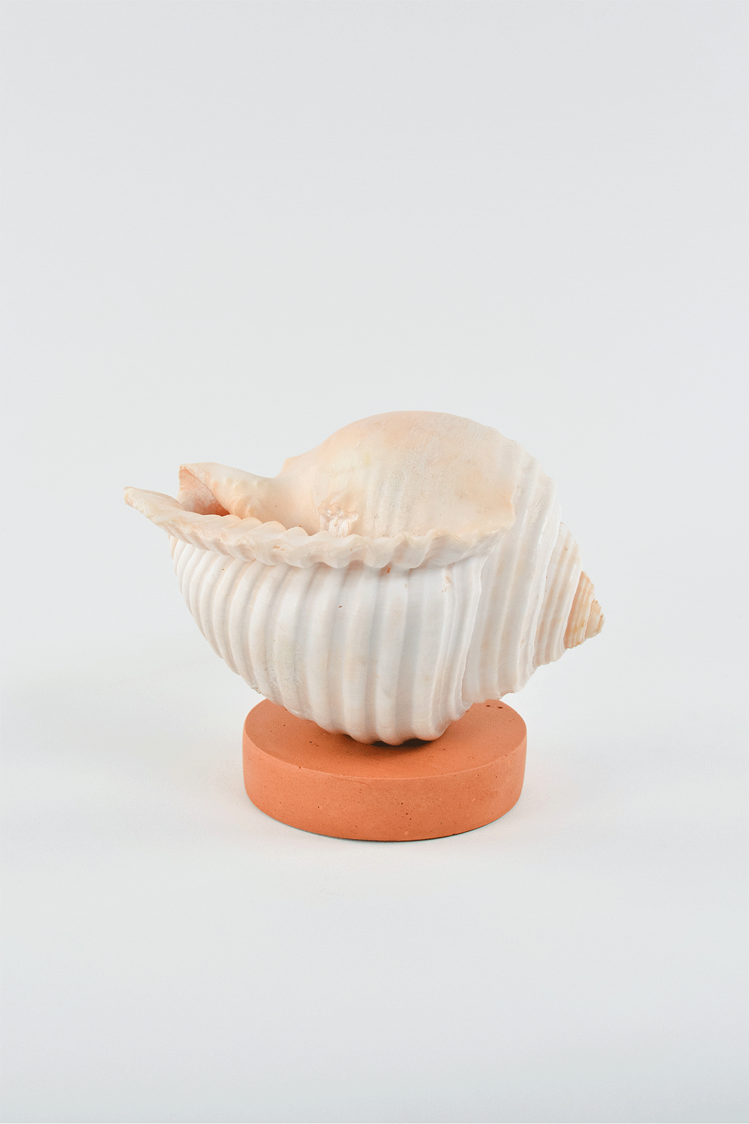 L'Escargot  Incense Vessel Gift Set in Terra Cotta