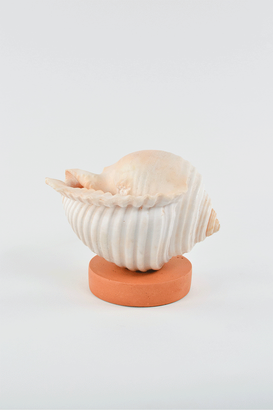 L'Escargot  Incense Vessel Gift Set in Terra Cotta