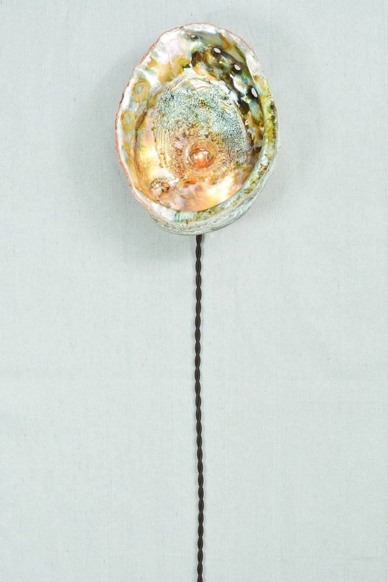 Abalone Siren's Sconce with Natural Seashell Shade — Model No. 021 - Tennant New York