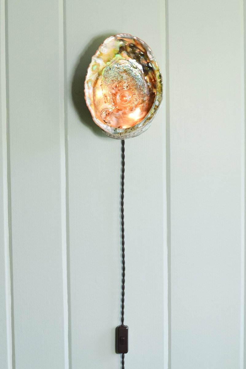 Abalone Siren's Sconce with Natural Seashell Shade — Model No. 021 - Tennant New York