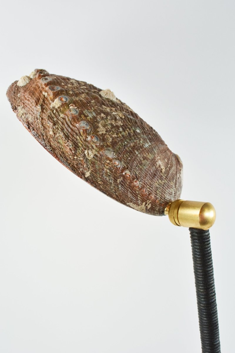 Abalone 'Tuxedo' Task Lamp with Natural Seashell Shade in Coiled Black Leather — Model No. 022B - Tennant New York