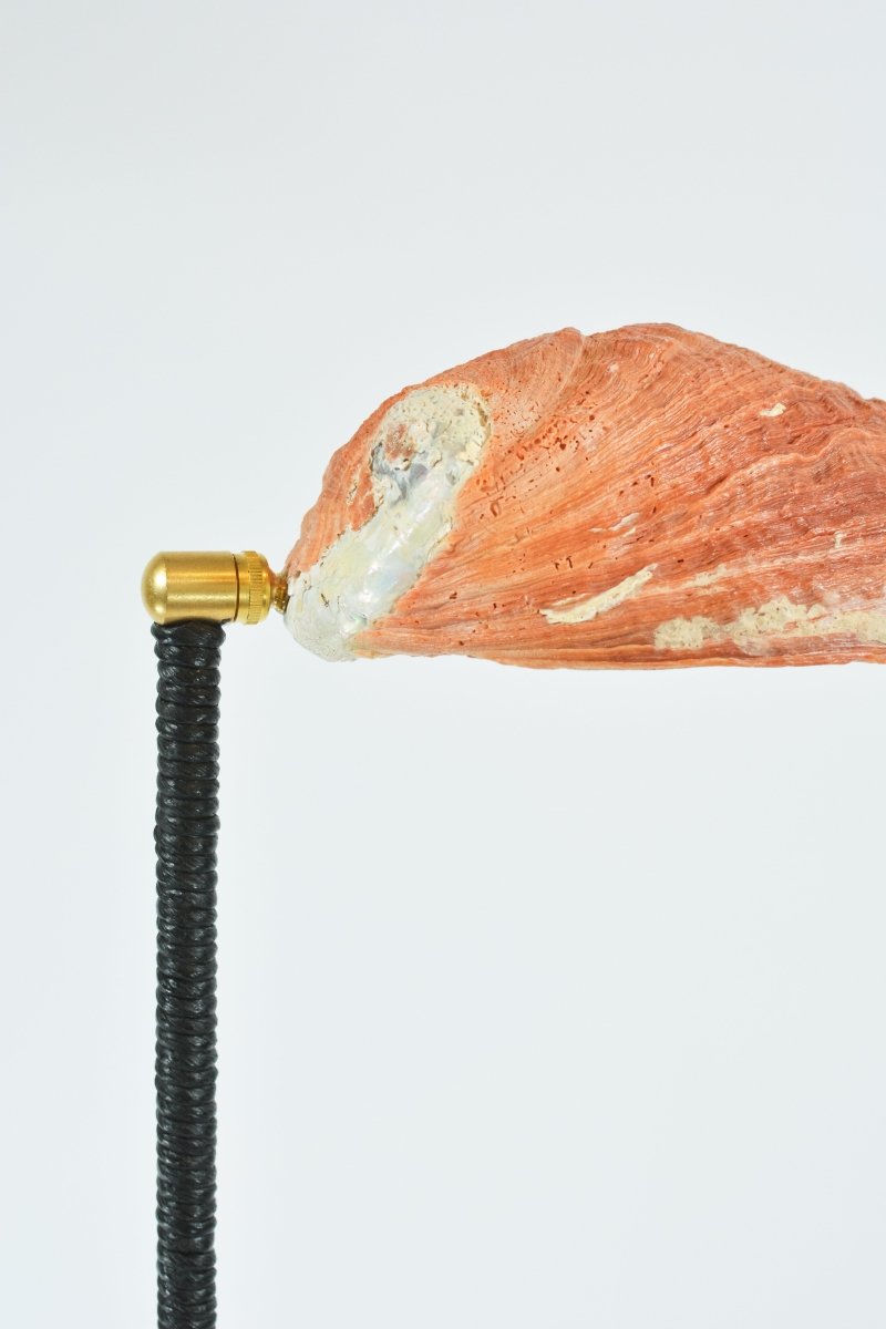 Double Abalone Library Lamp with Cast - Plaster Base and Seashell Shade — Model No. 050 - Tennant New York