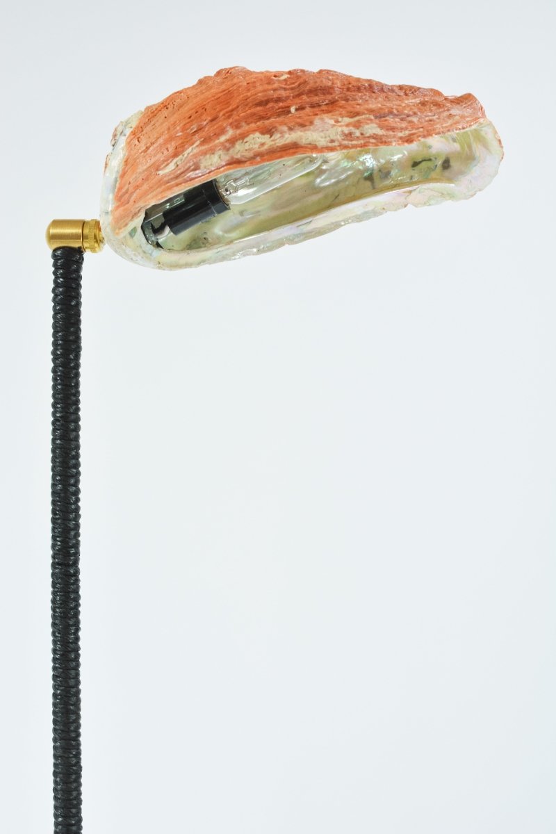 Double Abalone Library Lamp with Cast - Plaster Base and Seashell Shade — Model No. 050 - Tennant New York