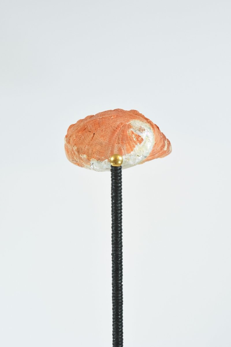 Double Abalone Library Lamp with Cast - Plaster Base and Seashell Shade — Model No. 050 - Tennant New York