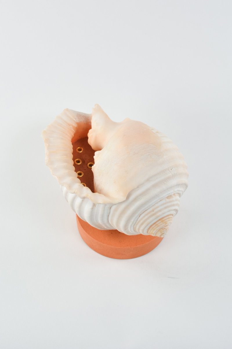 L'Escargot Incense Vessel Gift Set in Terra Cotta - Tennant New York