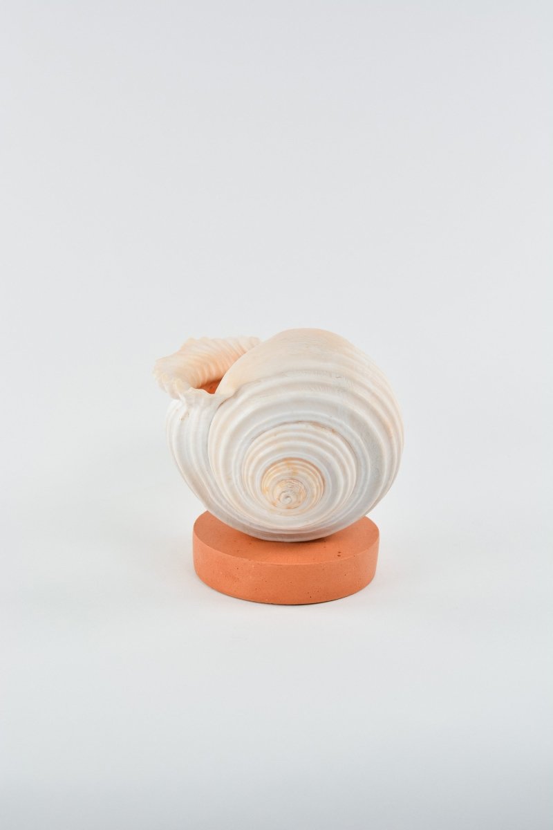 L'Escargot Incense Vessel Gift Set in Terra Cotta - Tennant New York