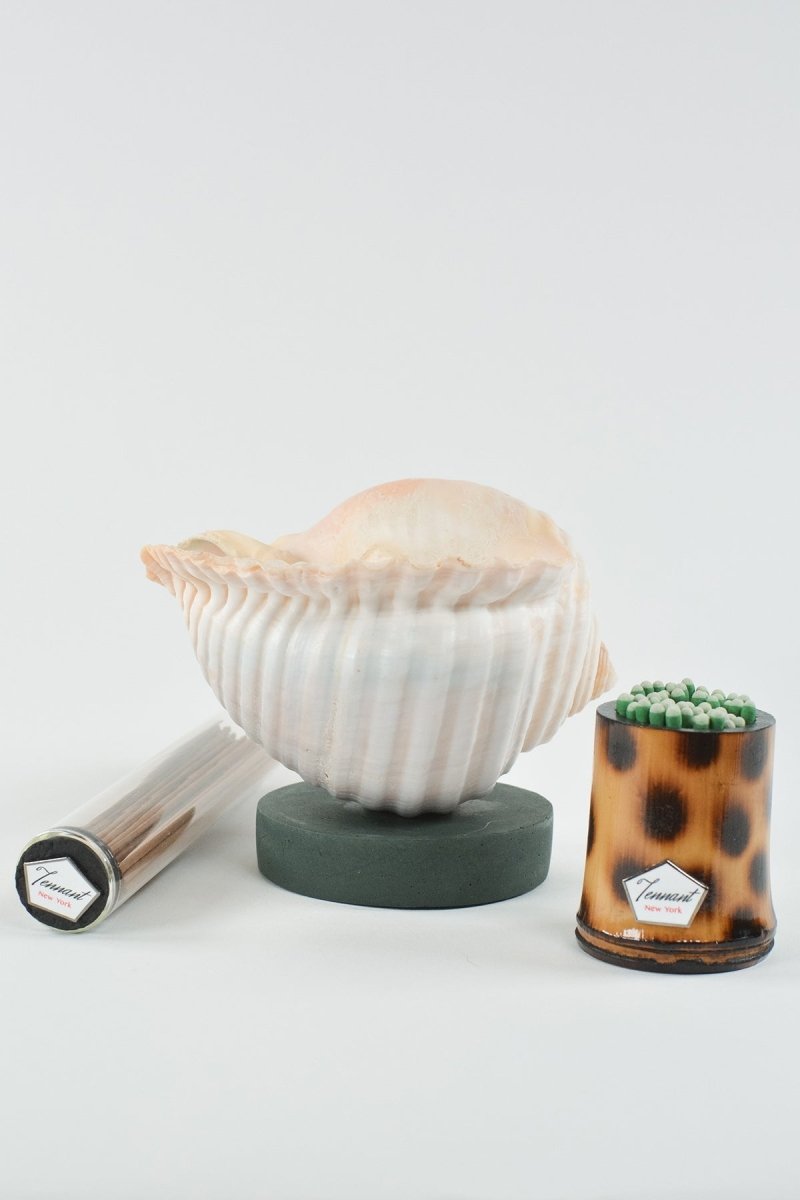 L'Escargot Incense Vessel Gift Set in Verdigris - Tennant New York