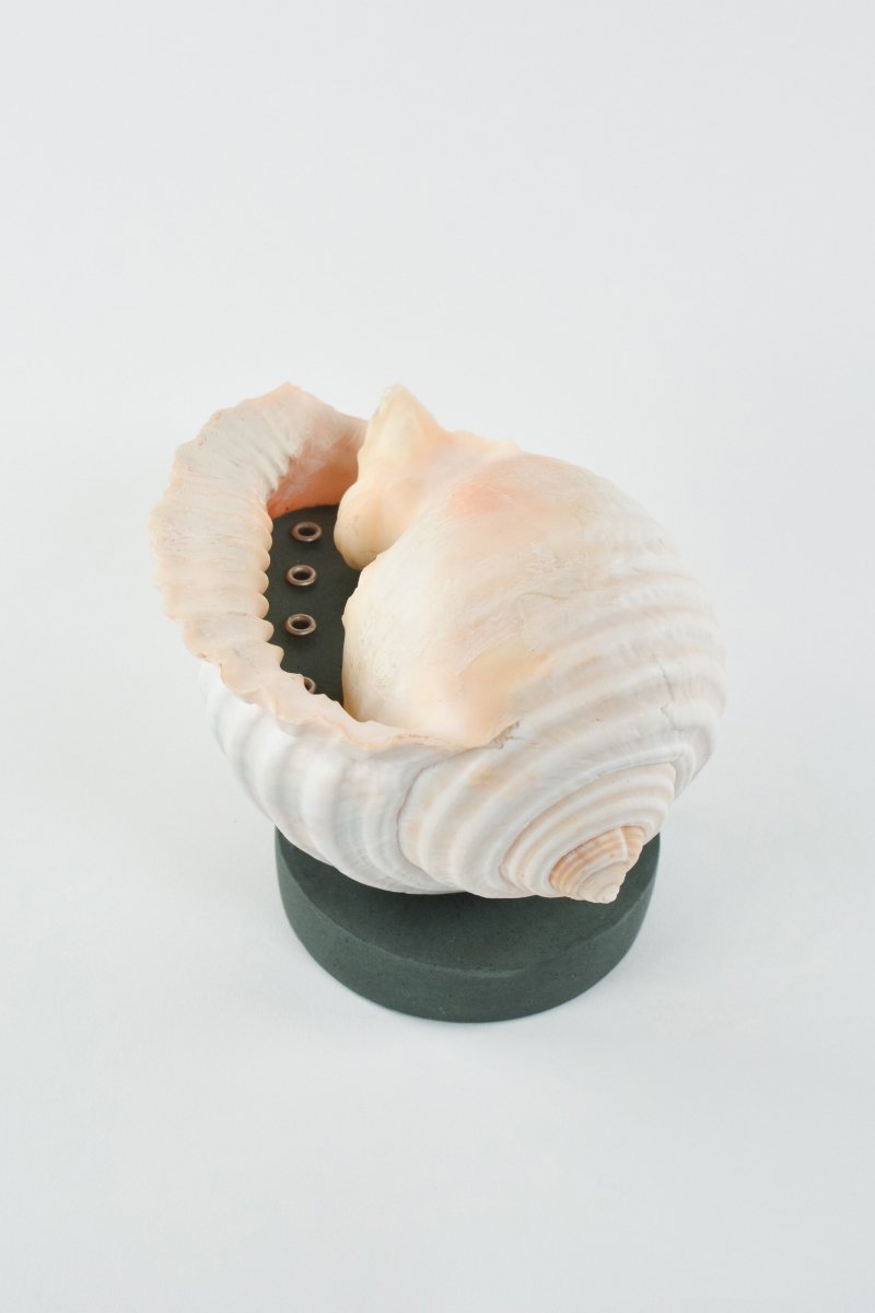 L'Escargot Incense Vessel Gift Set in Verdigris - Tennant New York