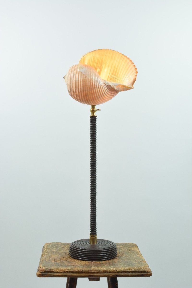 L’Escargot Table Lamp in Coiled Brown Leather with Natural Sea Snail Shade—Model No. 025B - Tennant New York