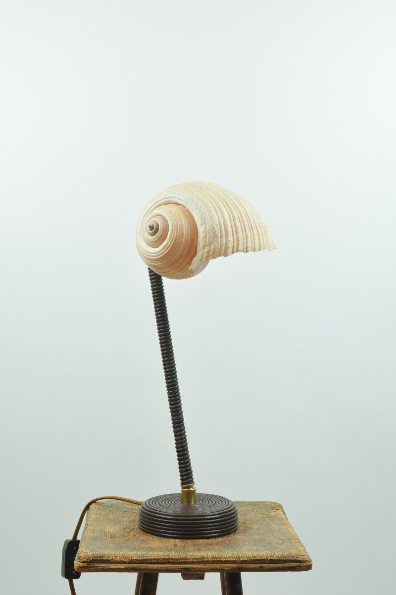 L’Escargot Table Lamp in Coiled Brown Leather with Natural Sea Snail Shade—Model No. 025B - Tennant New York